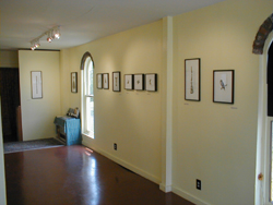 Beasts & Meditations exhibit at ubu studio